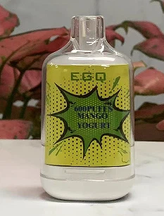 600 Puffs Vape Best Sell