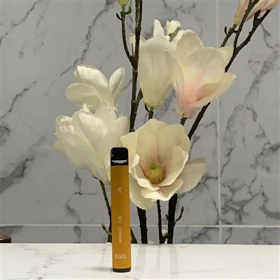 600 पफ के साथ डिस्पोजेबल 2 एमएल वेप पेन