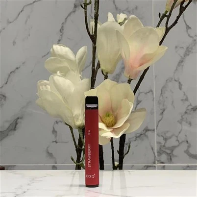 600 पफ्स के साथ सर्वाधिक बिकने वाला वेप पेन